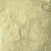 Dezen #548cvetni-005-1